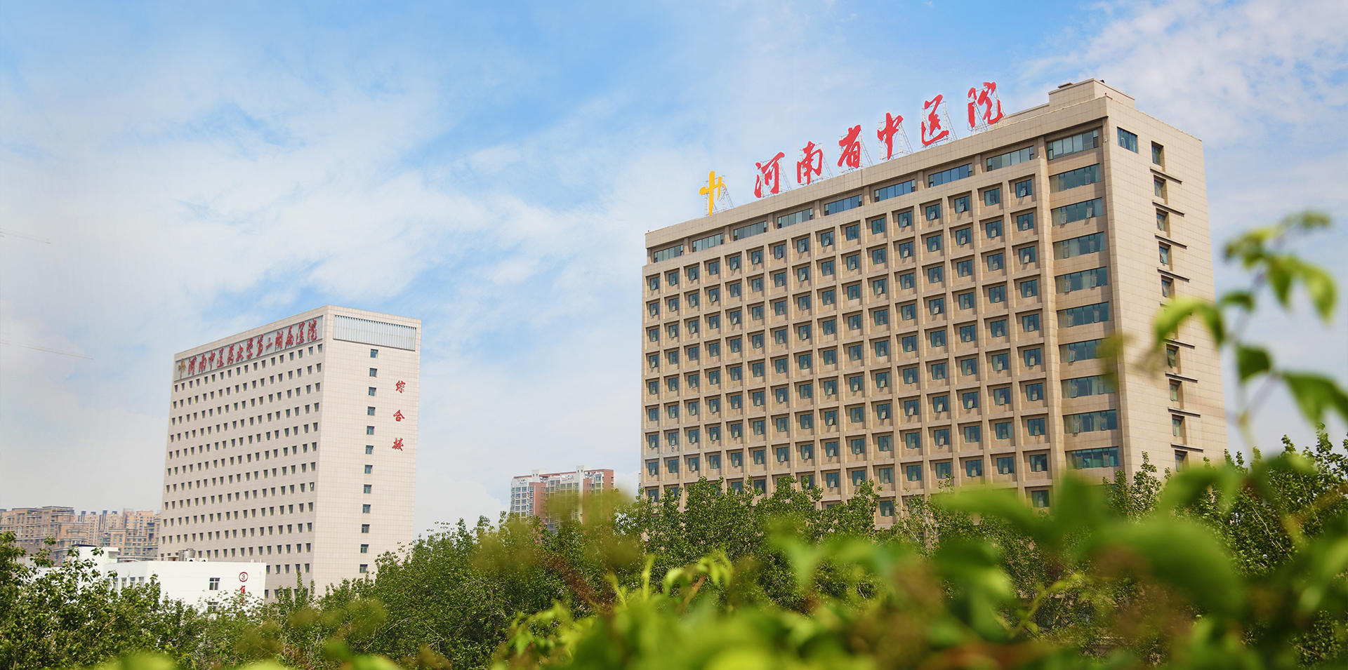 河南省中医院、第二附属医院